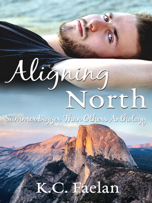 cover image of Aligning North